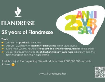 FLANDRESSE 25Y EN flyer